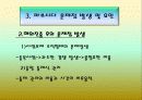 마쓰시다(파나소닉)의 국제 경영 9페이지