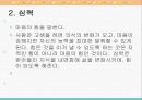 5차원 전면교육 학습법 5페이지