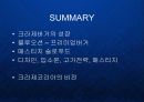 토봉브랜드 크라제버거의 매스티지 웰빙-로하스 마케팅 전략 PPT  16페이지