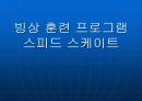 빙상 훈련 프로그램 1페이지