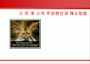 스트레스의 주요원인과 해소방법(A+파포) 1페이지