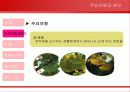 스트레스의 주요원인과 해소방법(A+파포) 7페이지