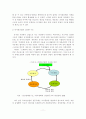 [졸업논문]문화콘텐츠산업으로서 지속적인 성장을 위한 뮤지컬산업의 발전전략 13페이지