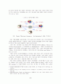 [A+평가 레포트]전자상거래의 현황 및 향후 전망 7페이지