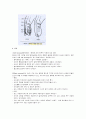 절단간호 4페이지
