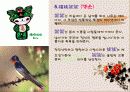 2008중국베이징올림픽 8페이지