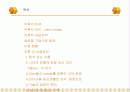 마케팅관리론 사례분석 야후에 관하여 모든것 2페이지