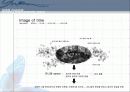 월가 디자인 - 박성칠 14페이지