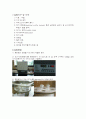 직접회화법을 이용한 마늘 조회분 정량 3페이지