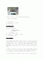 Soxhlet법을 이용한 마늘 조지방 정량 9페이지
