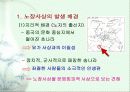 ‘노장사상’의 대한 이론 및 현대적 재조명 4페이지