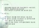 방사능사고에 대한 이해 및 국내의 방재체계 분석 12페이지