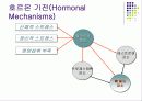 운동과 건강 ( 여성과 저항 트레이닝) 16페이지