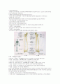 인체의 뼈의 구조 8페이지