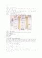 인체의 뼈의 구조 11페이지