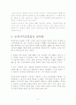 비정규보호법의 문제와 해결책 8페이지