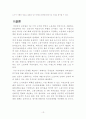 비정규보호법의 문제와 해결책 13페이지