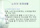 노인의 경제생활에 대한 발표리포트 7페이지