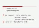 이온 채널과 막의 전기적 성질(ion channels 와 membrane의 electrical properties) 3페이지