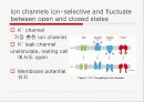 이온 채널과 막의 전기적 성질(ion channels 와 membrane의 electrical properties) 5페이지