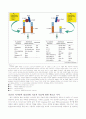 논문번역 The IL-23 Th17axis therapeutic targets for autoimmune 3페이지