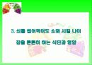 [식생활과건강] 생기 넘치는 대학생활을 위하여 14페이지