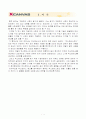 엑스캔버스 광고분석 2페이지