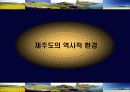 제주도 지역의 조사 및 축제 기획 24페이지