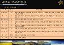 제주도 지역의 조사 및 축제 기획 25페이지
