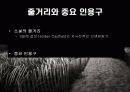 호밀 밭의 파수꾼 (The Catcher in The Rye) 에대해서...... 11페이지