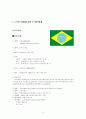 브릭스[BRICs] 2페이지