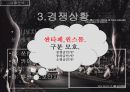 [광고 기획서] 산타페(현대 자동차) 광고 기획서 17페이지
