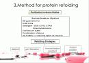 protein refolding 9페이지