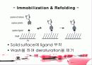 protein refolding 12페이지