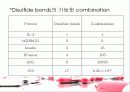 protein refolding 14페이지