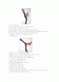 태보에 대한 정리와 이해 7페이지