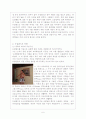 뉴질랜드의 자연환경과 문화  6페이지