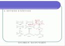 AM OLED 디스플레이 FPD(Flat Pannel Display)구동방식 12페이지