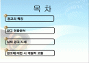 여성주의 시각으로 바라본 TV 광고  2페이지