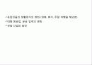 [저가항공]Ryan Air & Easy jet 경영전략 분석보고서 12페이지