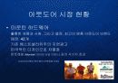 마운틴하드웨어와 익스트림 아웃도어 시장전략 PPT 14페이지