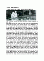 PDP(Plasma Display Panel...) 19페이지