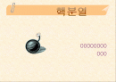 핵분열 원자폭탄 방사능 1페이지