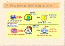 핵분열 원자폭탄 방사능 10페이지