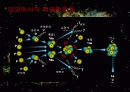 핵융합[Nuclear fusion] 8페이지