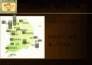 스킨푸드 마케팅 분석 PPT(더페이스샵 비교분석) 8페이지