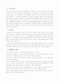 바람직한 민영화의 방향 2페이지