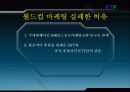 스포츠마케팅 성공과 실패사례 42페이지