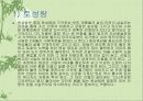 현대소설작가 김사량에 대해서 4페이지