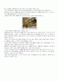 건축과 사회 (백화점 건축자료) 7페이지